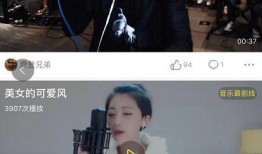 爆料主播玩蛋仔派对视频,主播带你领略游戏魅力